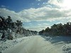 Nantucket Winter 2003 : 